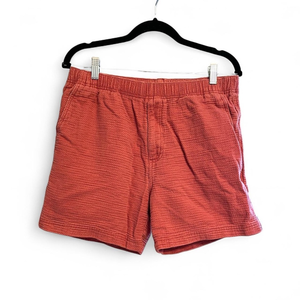 The Territory Ahead Men's Brick Shorts